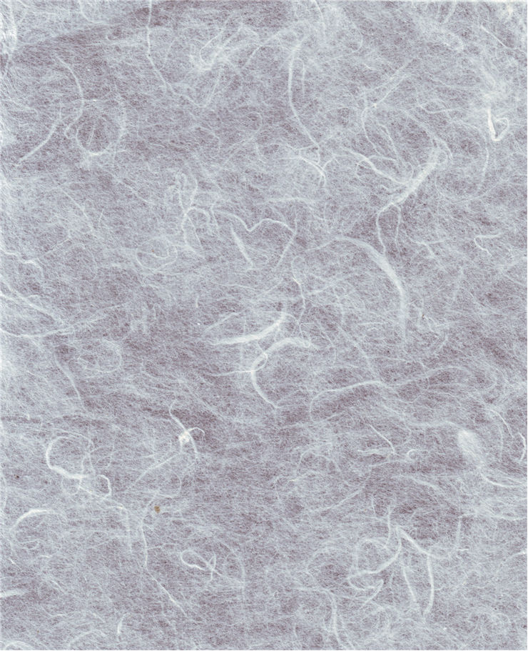 Fibrous Paper Texture