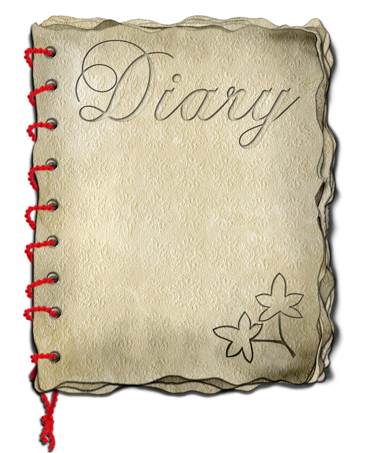 Old Diary