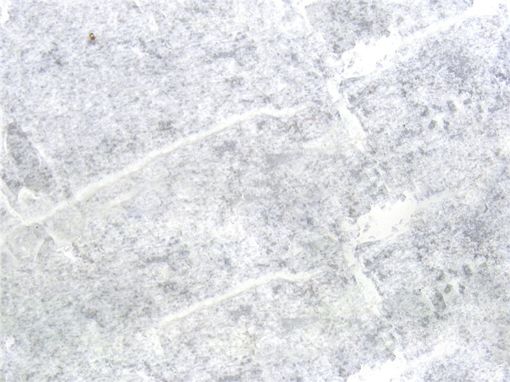 Paper Pulp Parchment Texture