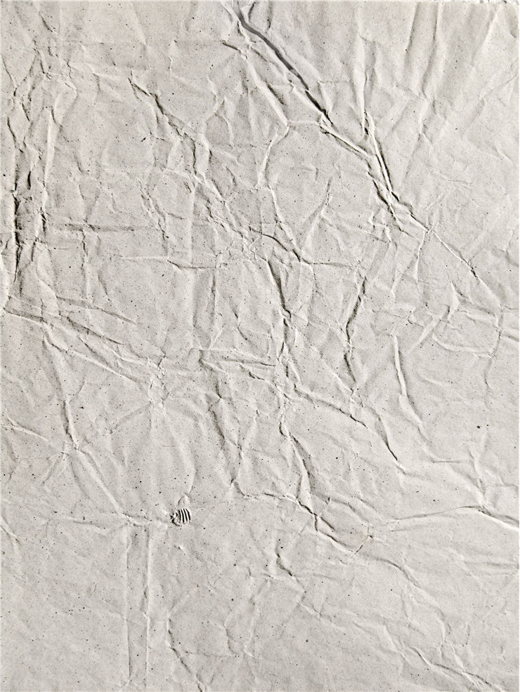 Sheets of Wrinkled Paper