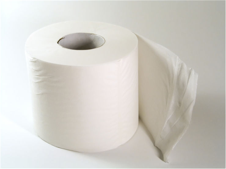 Picture - White Toilet Paper