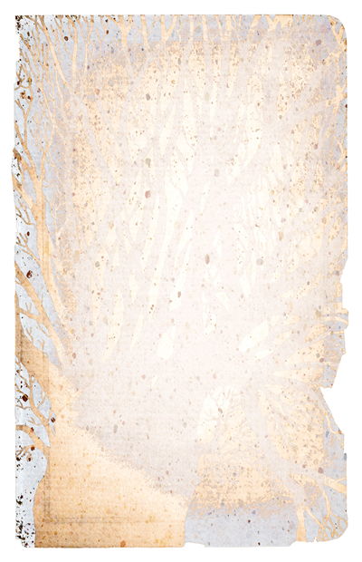 Tree on Paper