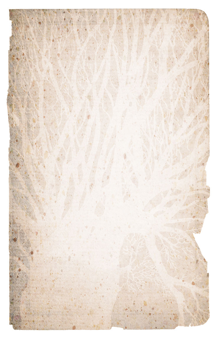 Tree Paper